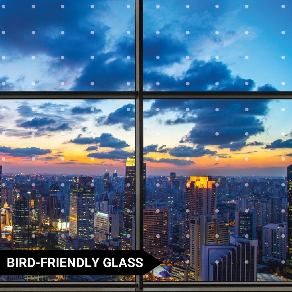 Bird-friendly - Blackline Aluminum