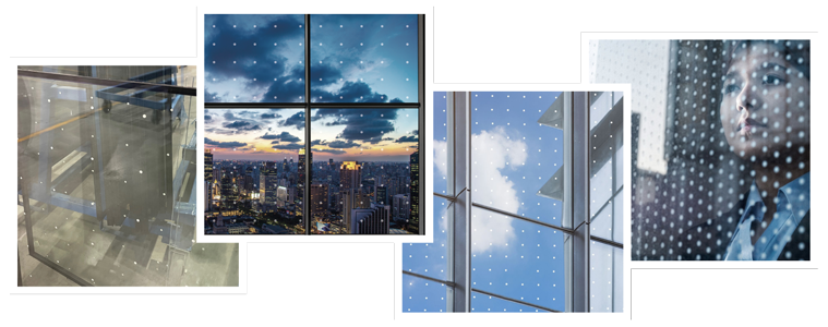 5 Bird-Safe Architectural Glass Options
